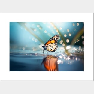 Butterfly Forest Nature Serene Tranquil Posters and Art